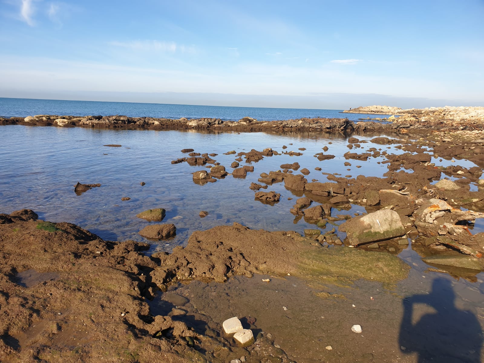 WhatsApp Image 2020-01-27 at 9.05.19 AM (1).jpeg.jpeg